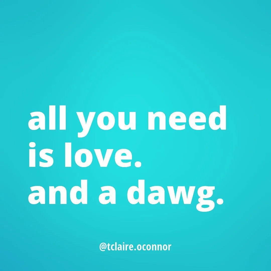 #allyouneedisloveandadog