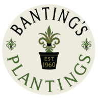bantingsplantings.png