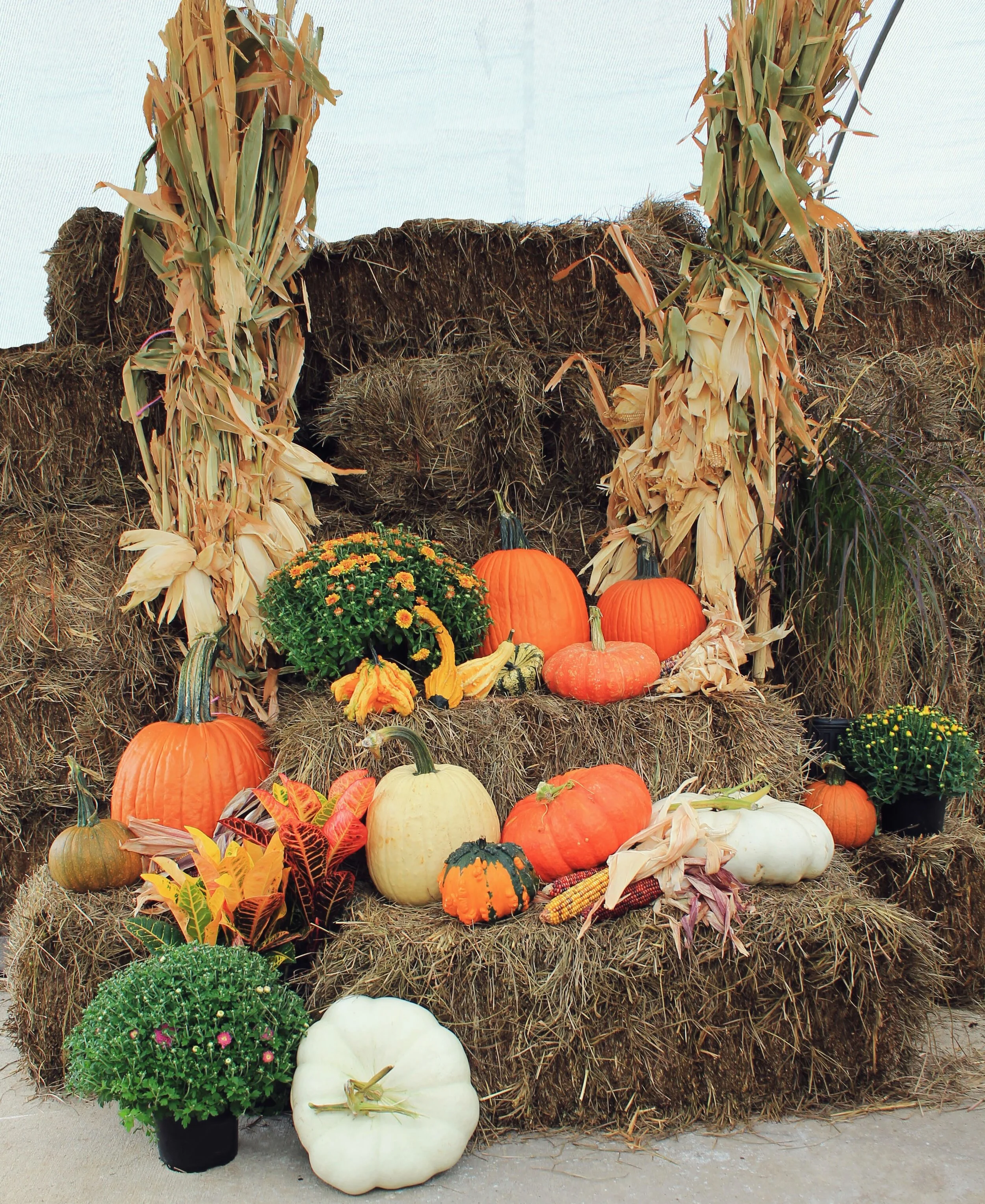 fallfestivalpackage4.jpg