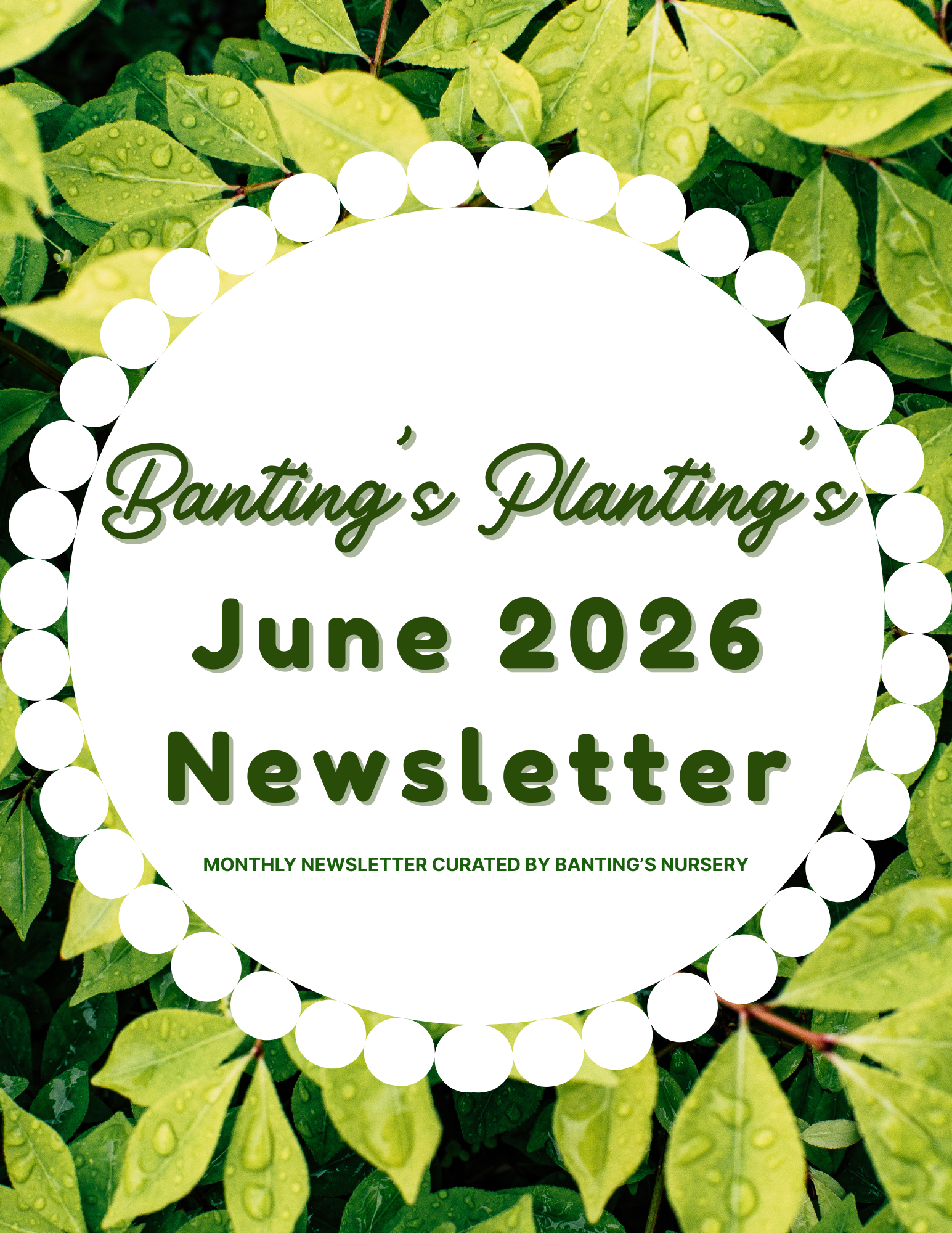 June 2026