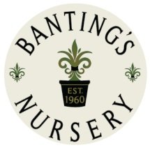 Banting&#39;s Nursery