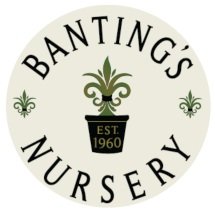 Banting's Nursery