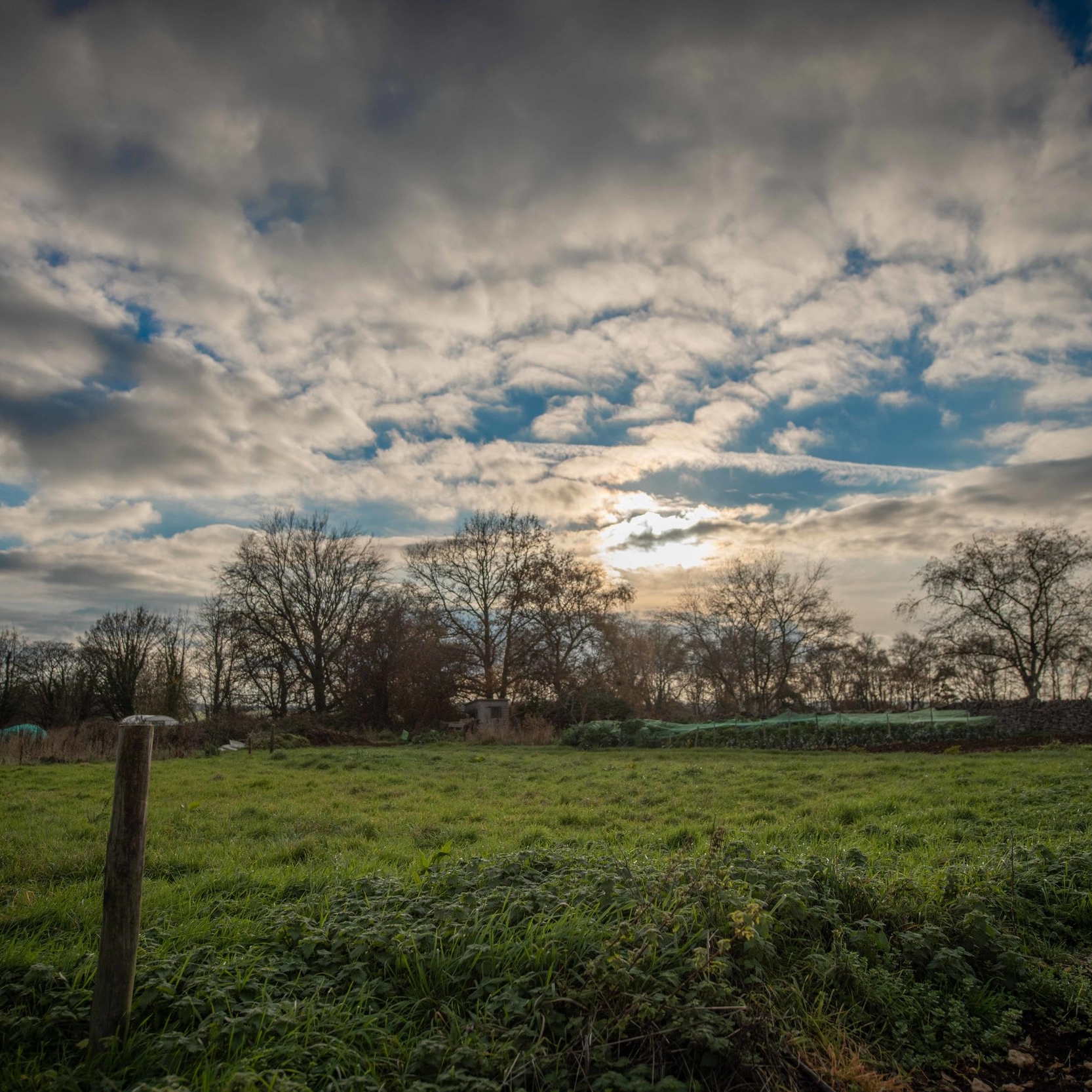 DSC_0691.jpg