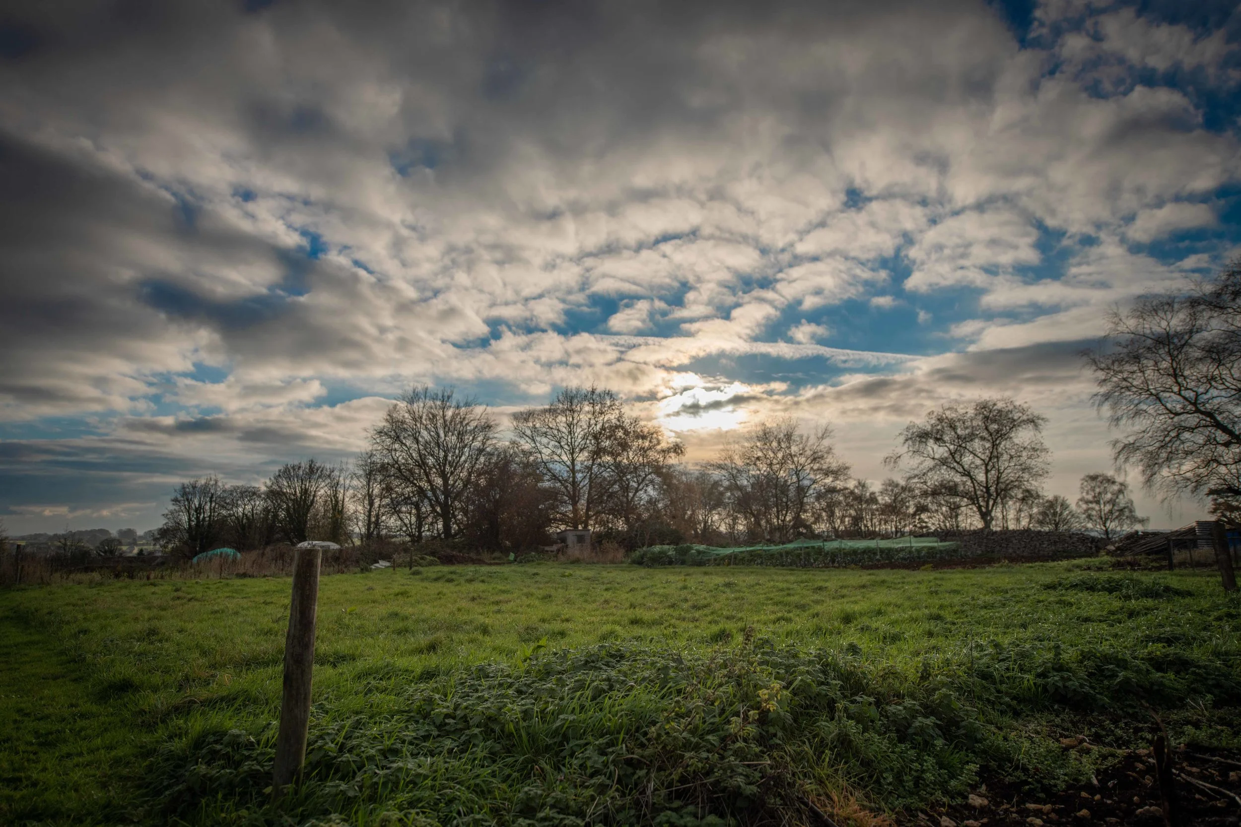 DSC_0691.jpg