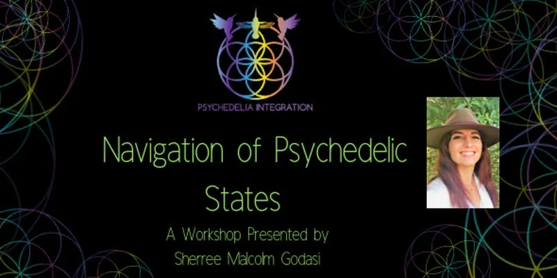 Navigation of Psychedelic States