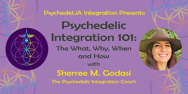 Psychedelic Integration 101