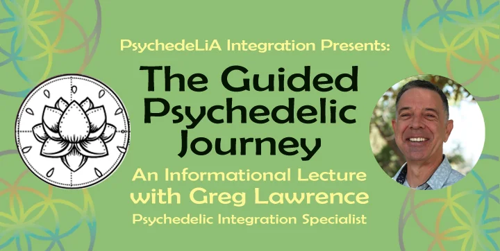 The Guided Psychedelic Journey