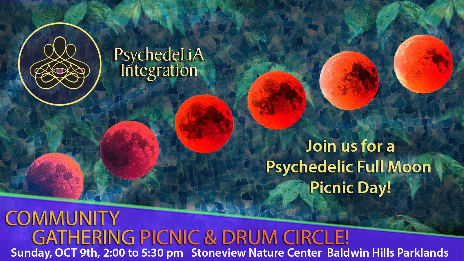 Community Full Moon Picnic Day and Drum Circle!