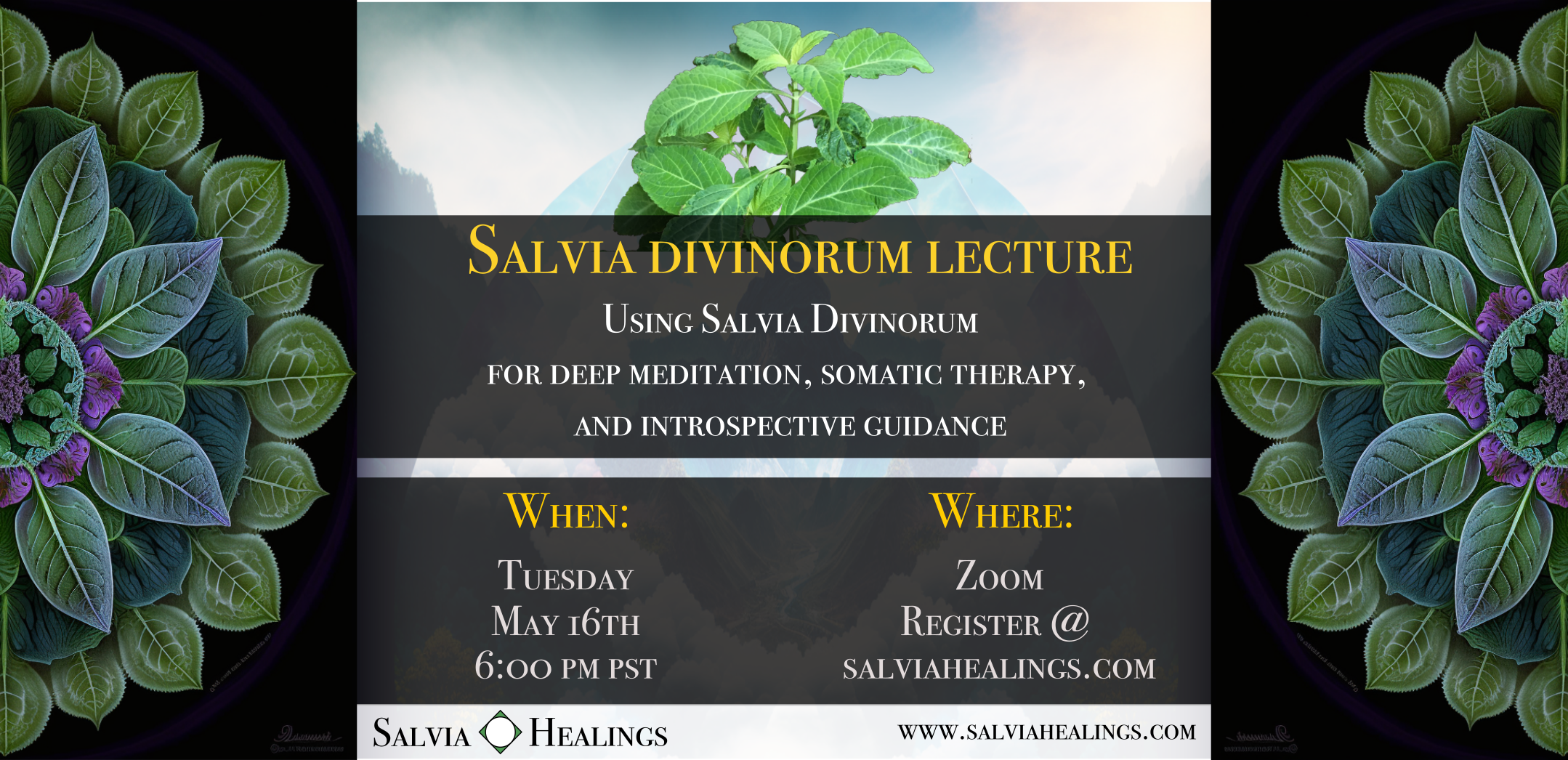 Using Salvia for Deep Meditation, Somatic Therapy, & Introspective Guidance