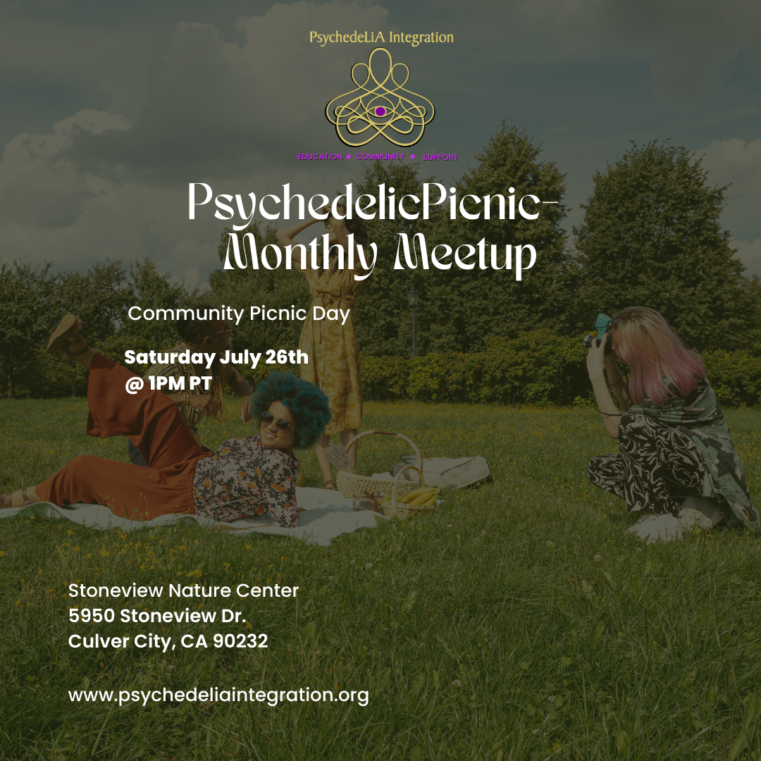Psychedelic Picnic - Our Monthly Community Meetup