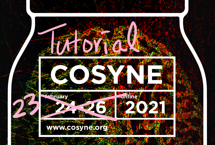 Cosyne — Rajan Lab Brain Research & AI in NY