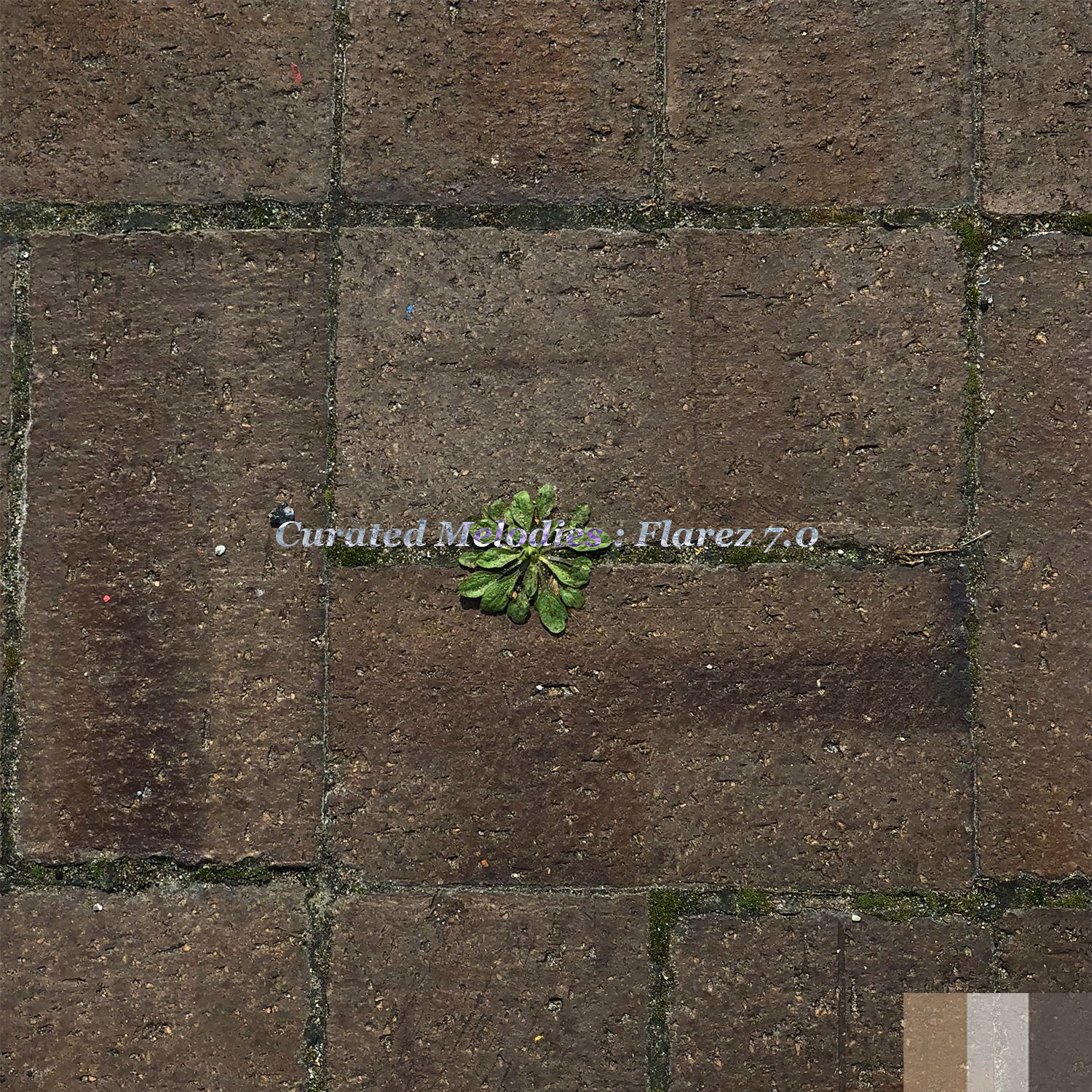 Curated Melodies: Flarez 7.0 