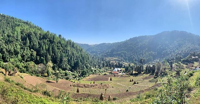The outskirts of Noli village, taking in the sunshine and a simpler way of life. Day 2 of Trek to Kareri Lake, Dharamshala 2019. Applications now open for 2020 edition, October 24-31!