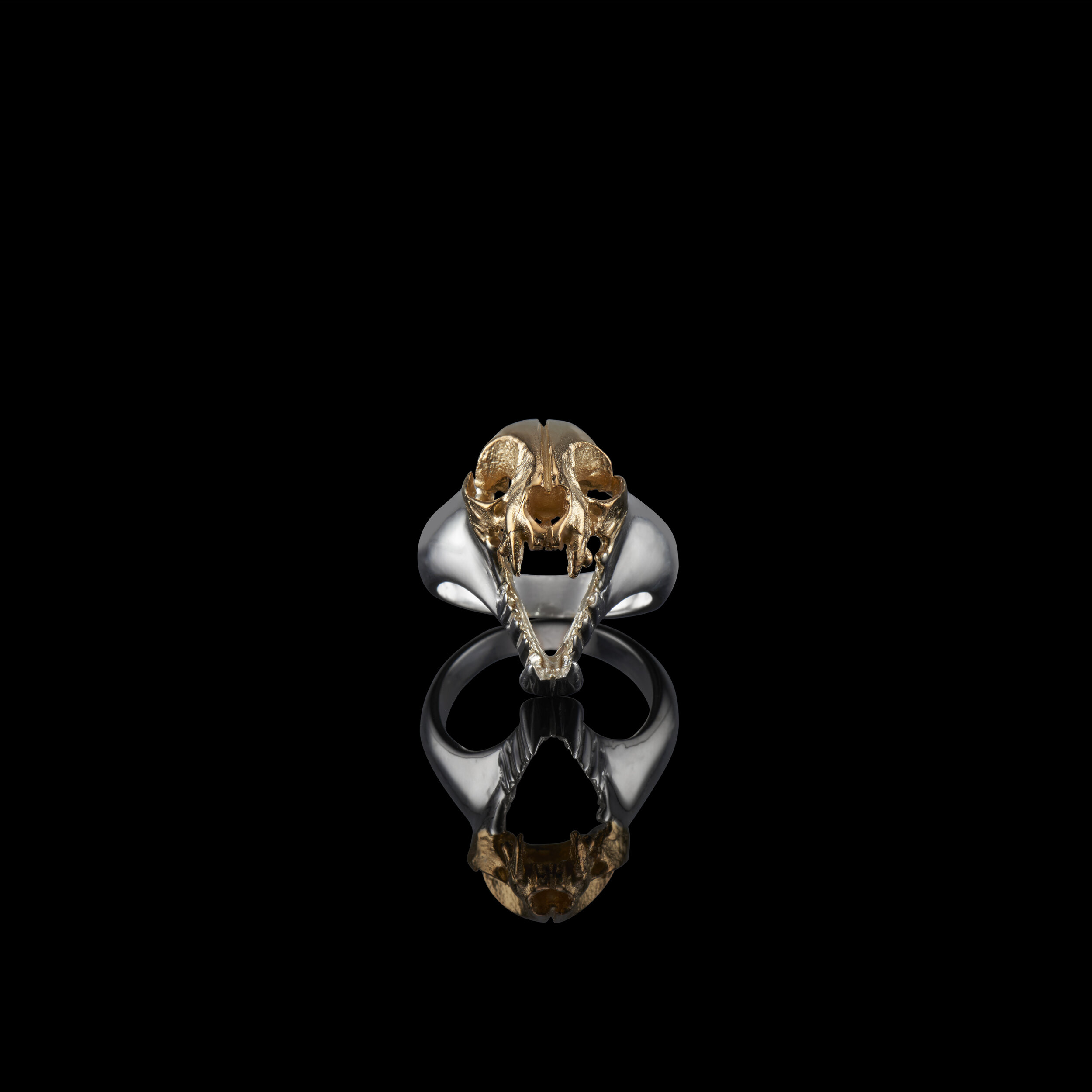 20190314_EGBOCOLLECTIONS_18040 copy.jpg