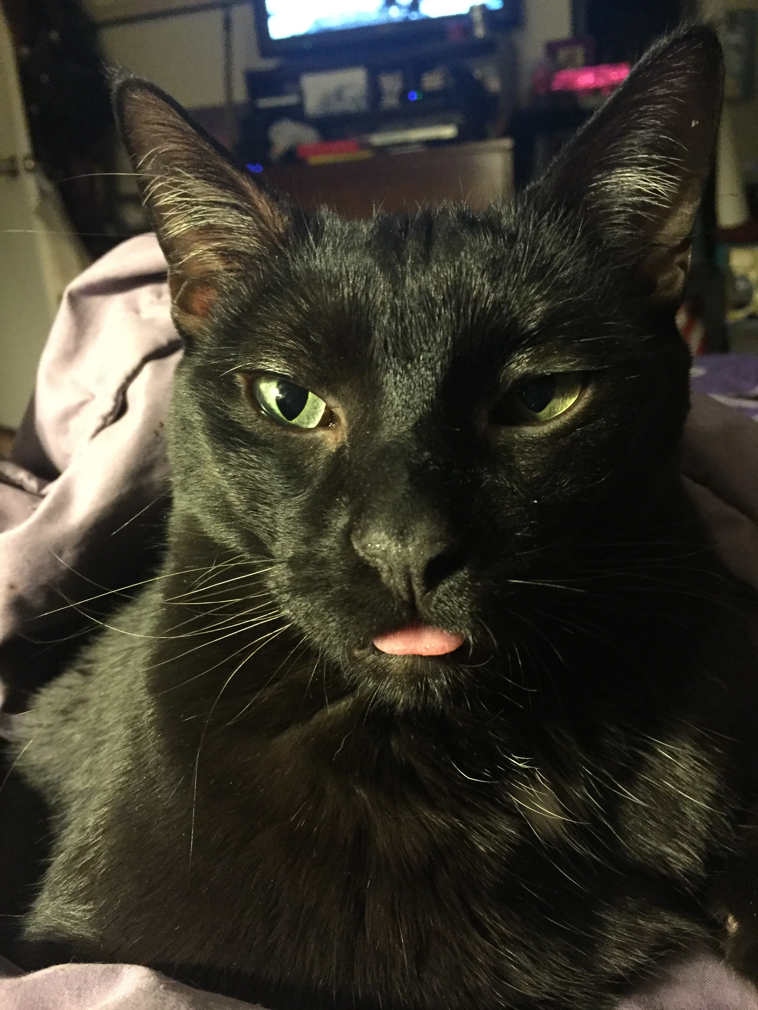 Medication (Add On Per Day)