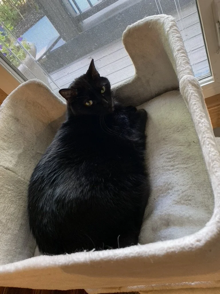 Garden Care Add-On (3 Days or Less)