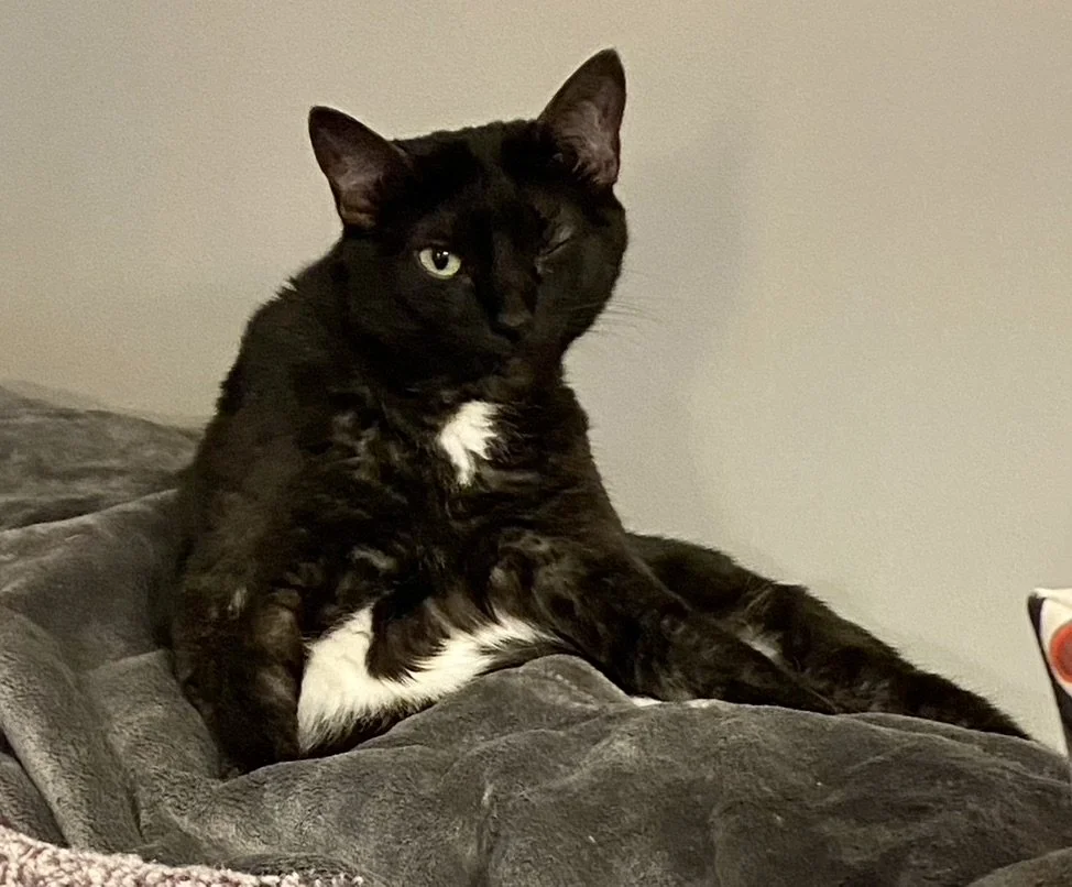 Garden Care Add On (More than 3 days)