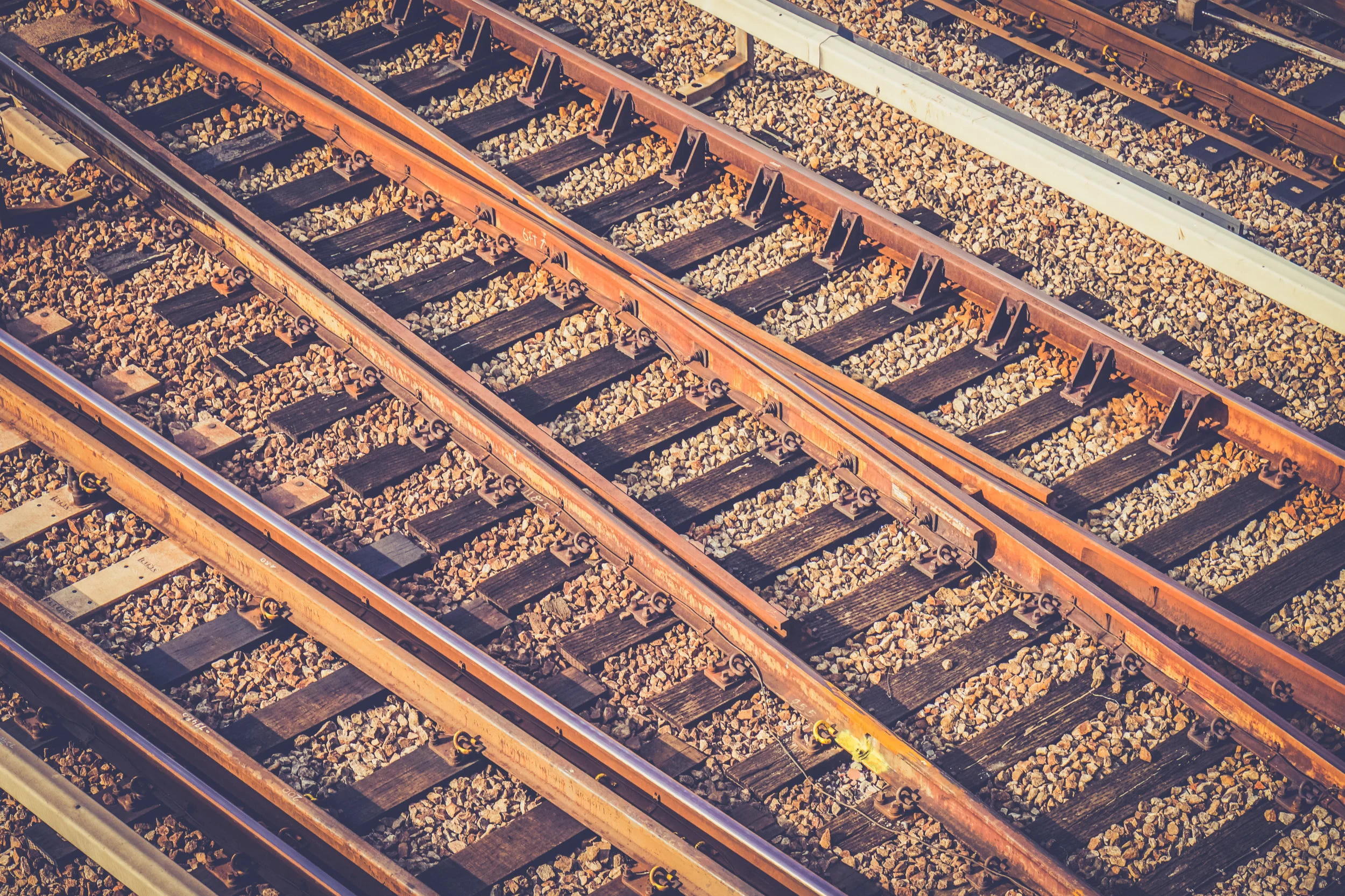 Managing for Sustainability