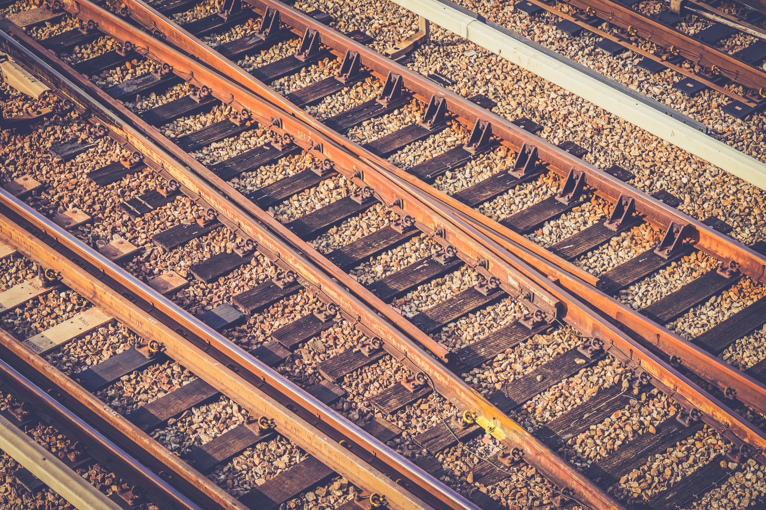 Managing for Sustainability
