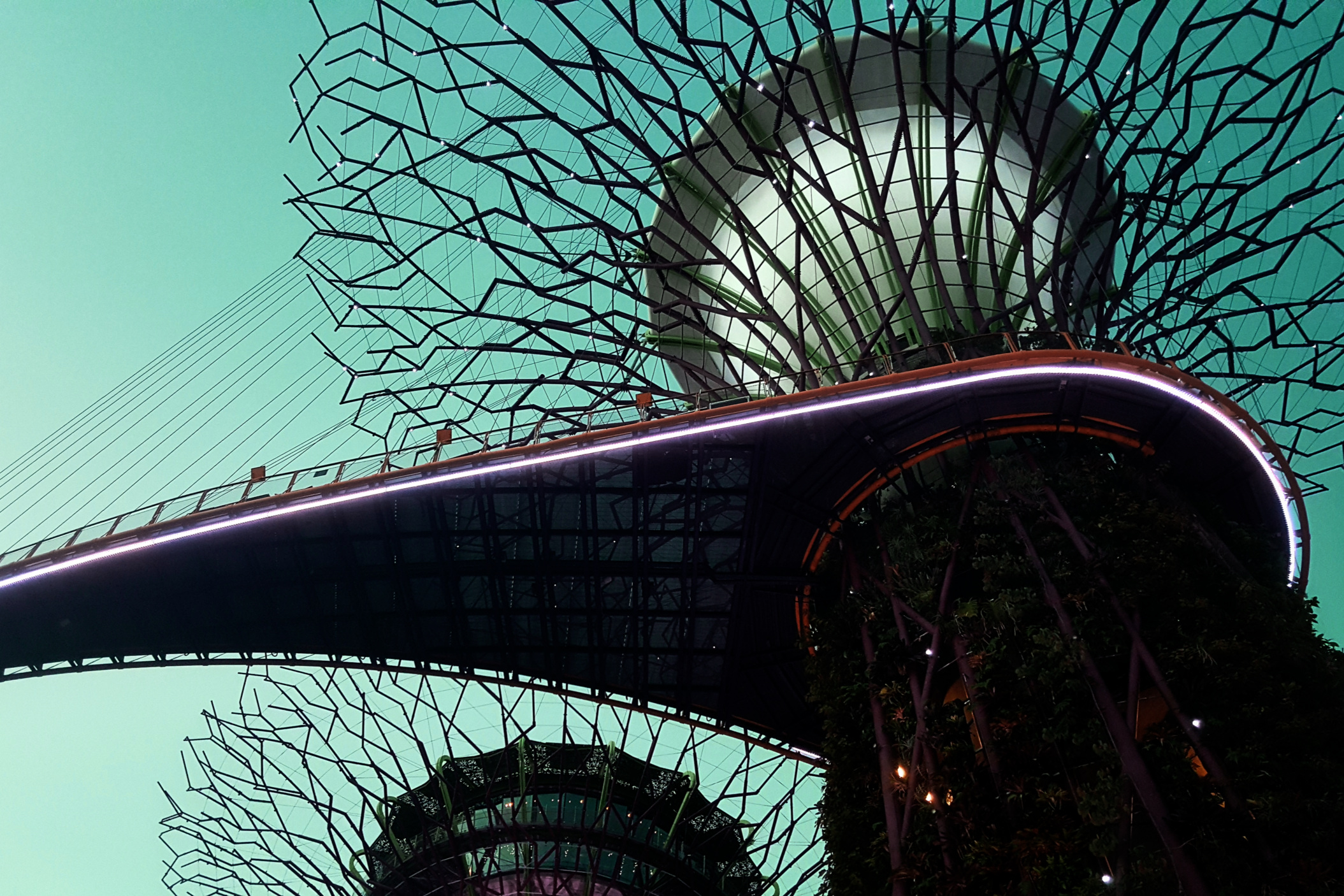 Case Studies for Sustainability Implementation