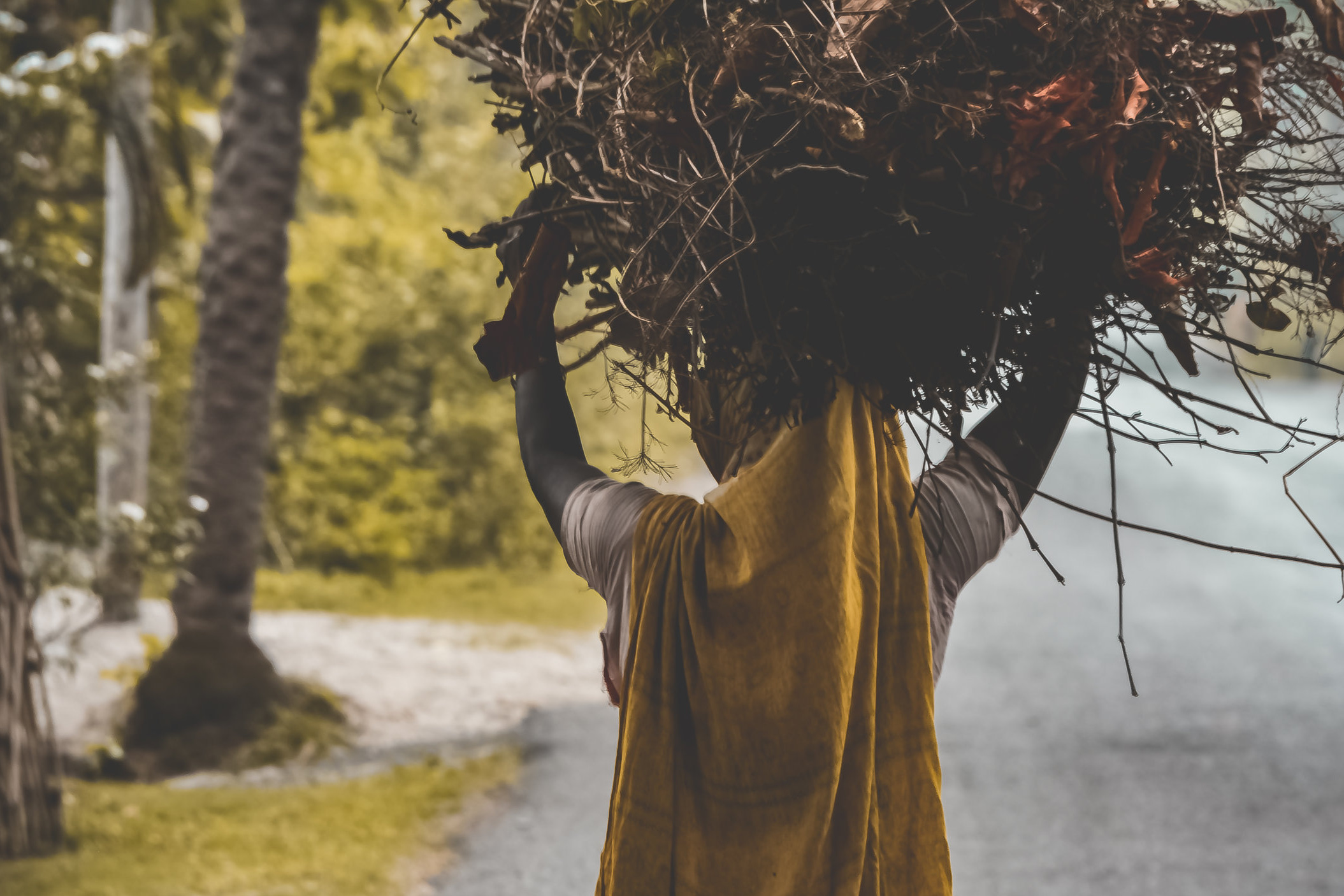 Bundle: Introductory Skills in Sustainable Business