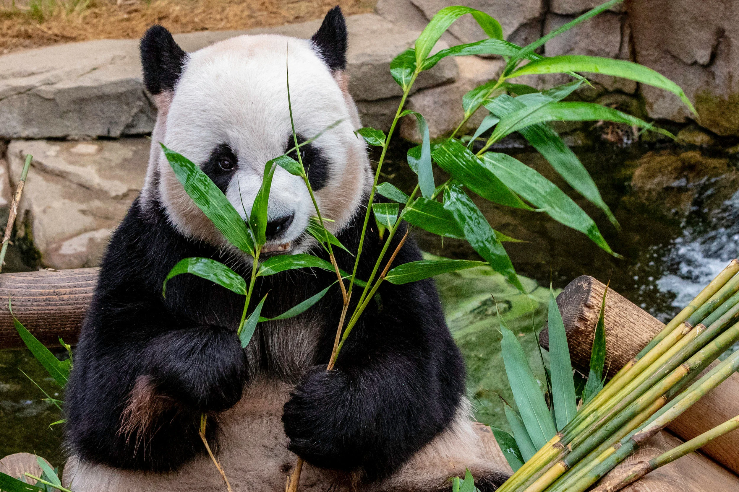 A Circular Case Study A conversation featuring Lisa Zwack, Head of Sustainability, The Kroger Co, and Pete Pearson, Senior Director, World Wildlife Fund.