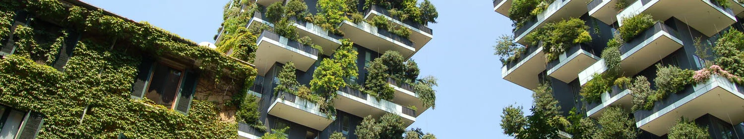 urban garden banner.jpg