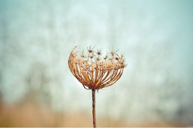 Embracing a Sustainability Culture with Your Hero’s Journey