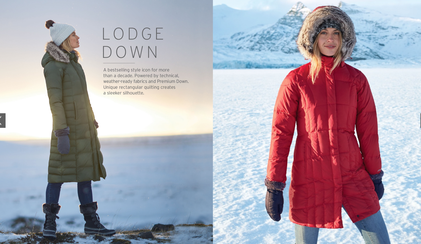 Screen Shot 2018-11-30 at 12.59.41 PM.png