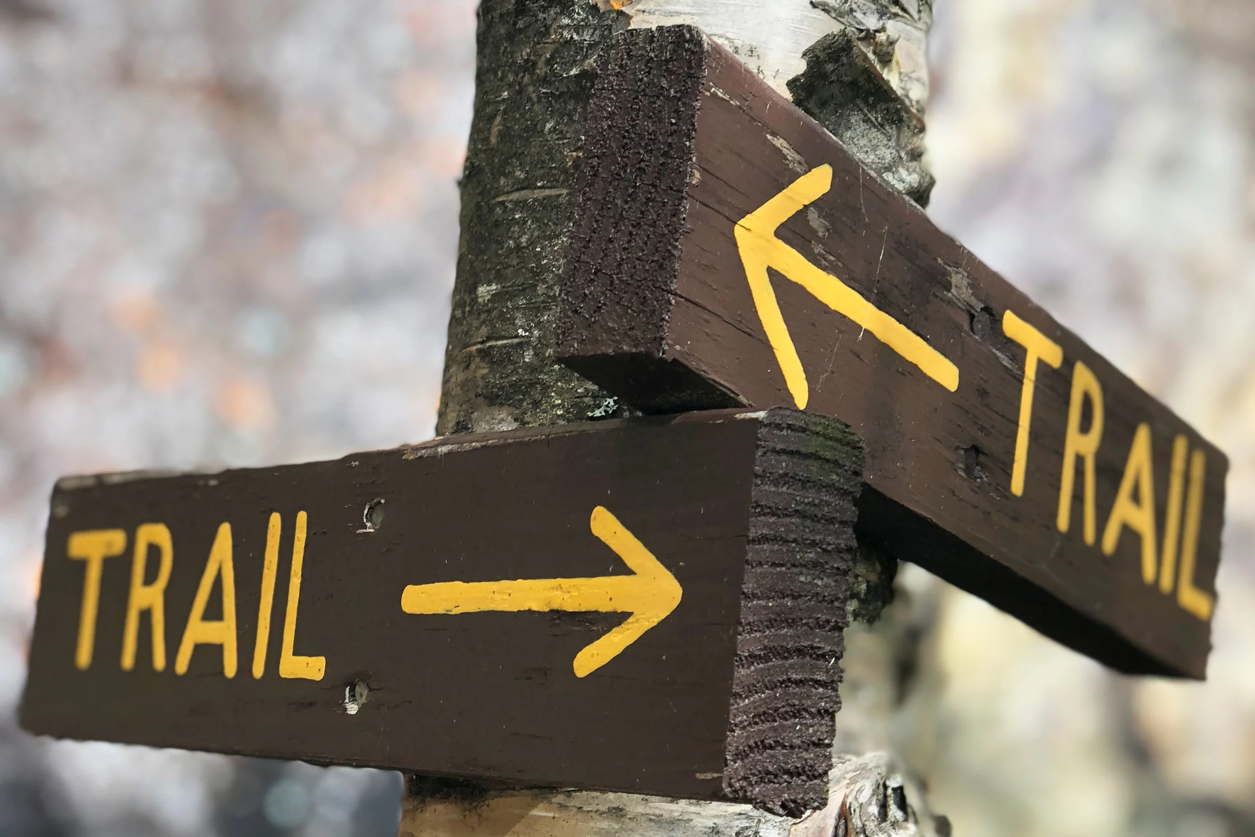 trail.jpg