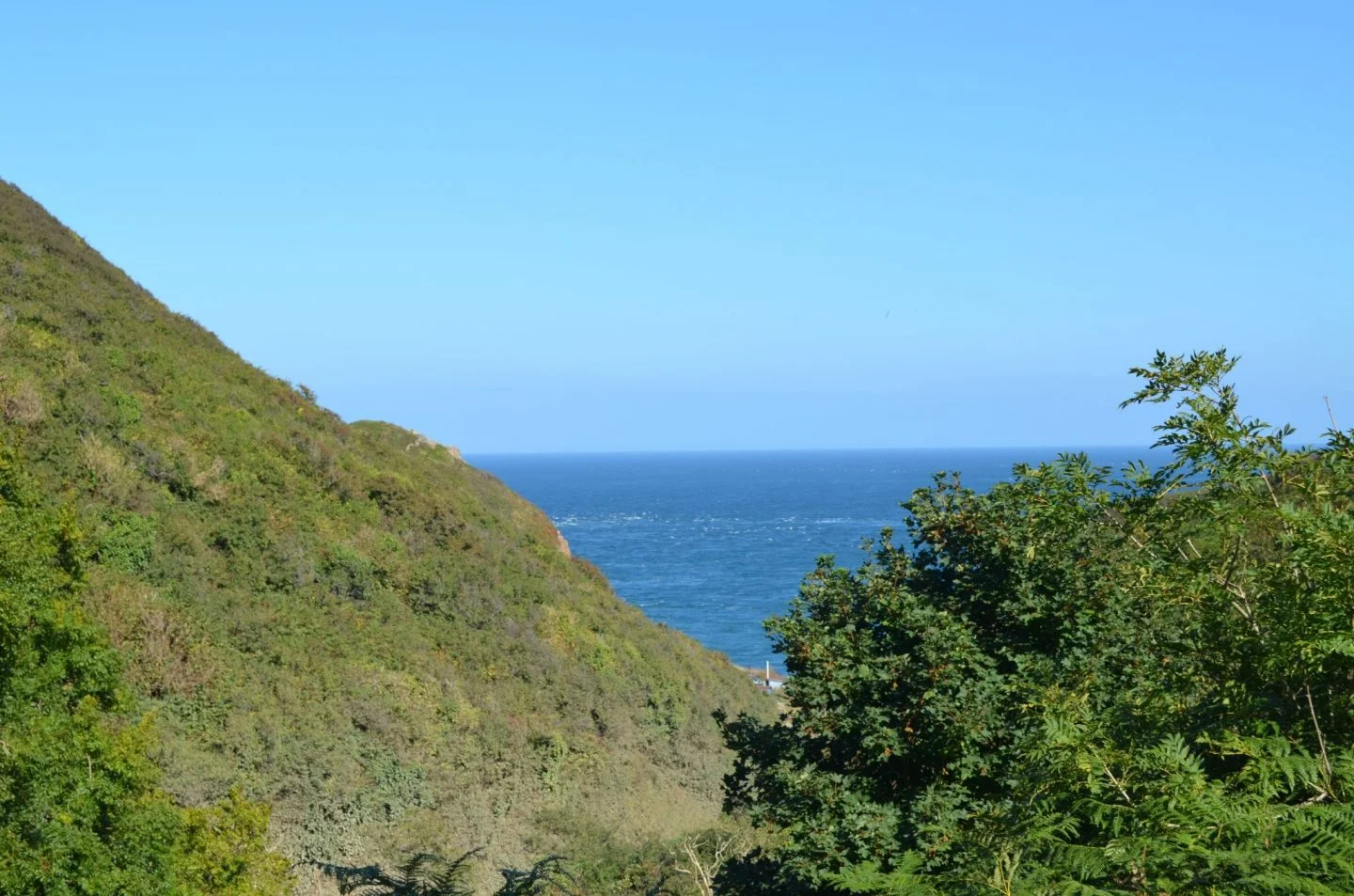 sark-1440x953.jpg