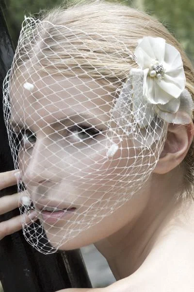 Louise Birdcage Veil