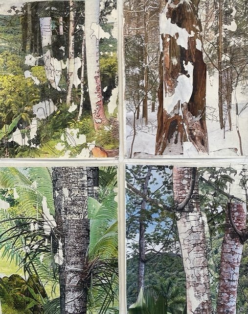 Tree Studies-Jamaica