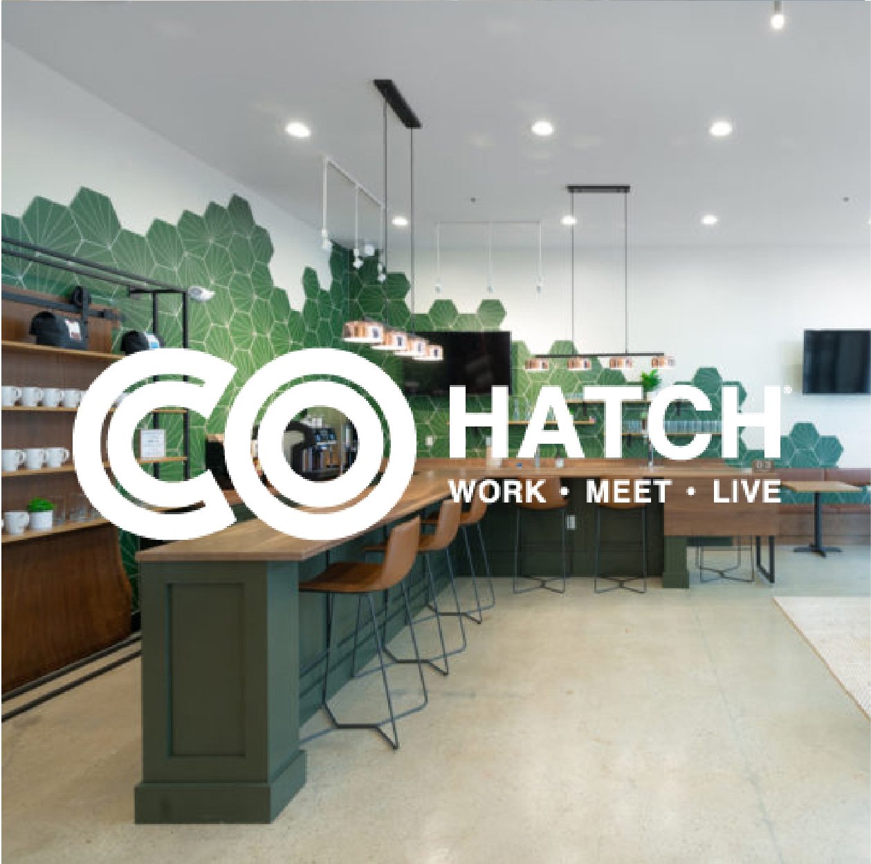 Cohatch website tile.jpg