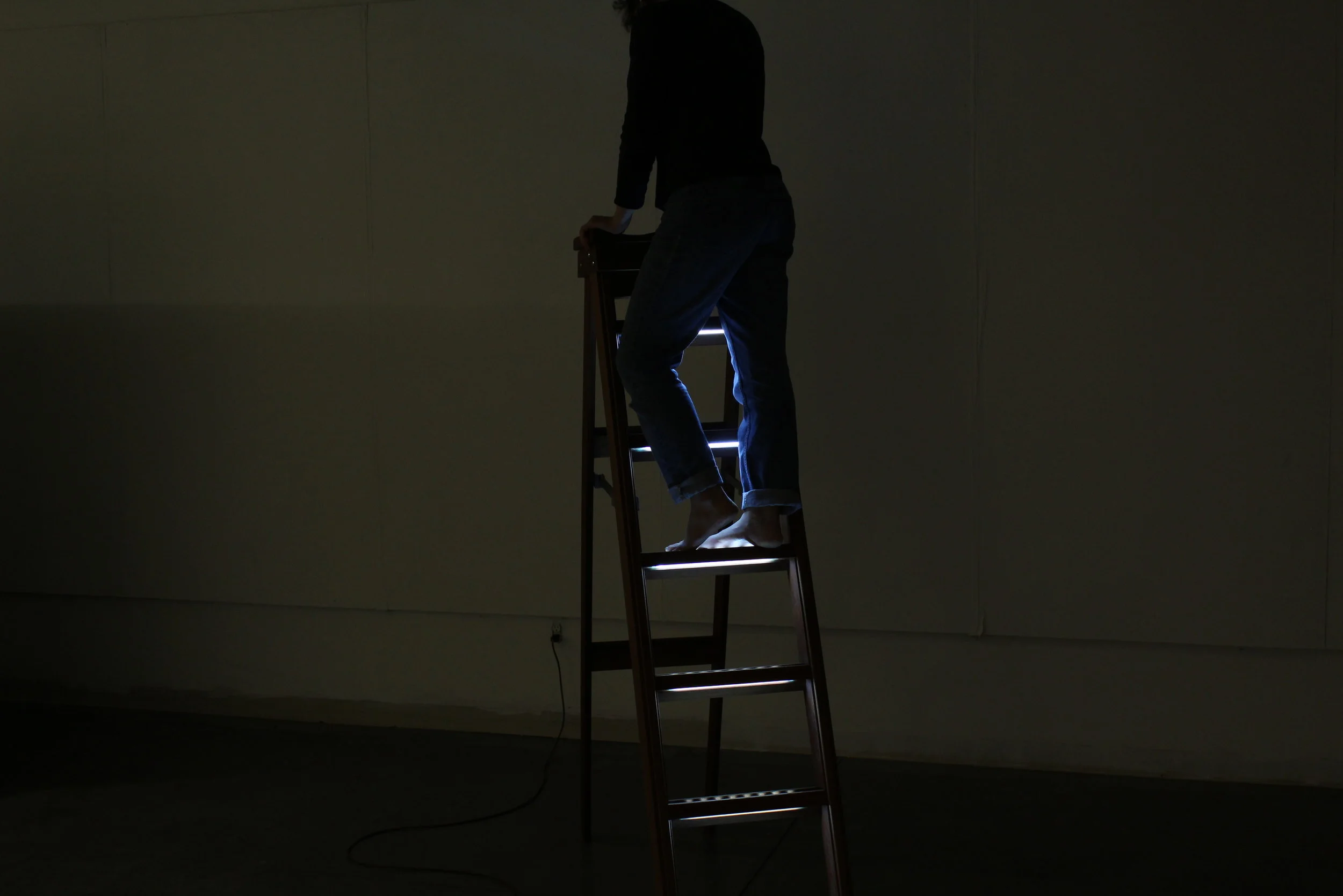 ladder for abstract thinking