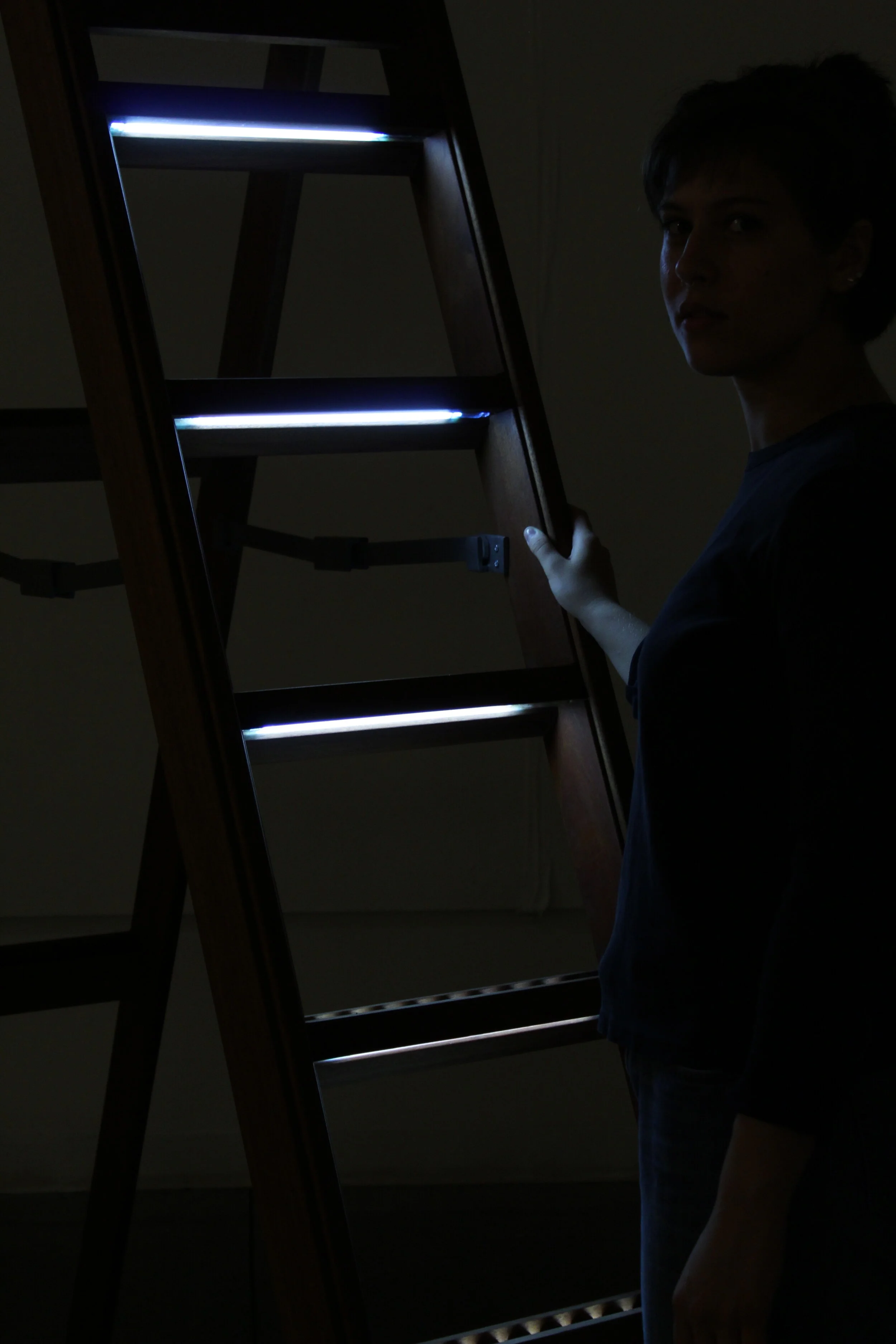 ladder for abstract thinking 2019