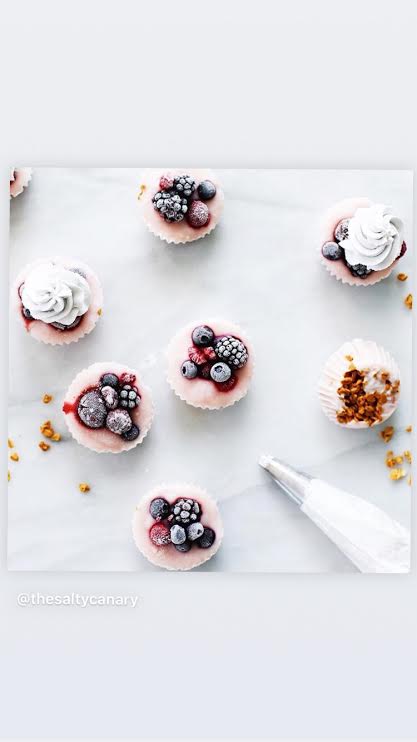 Berry Yogurt Bites @thesaltycanary