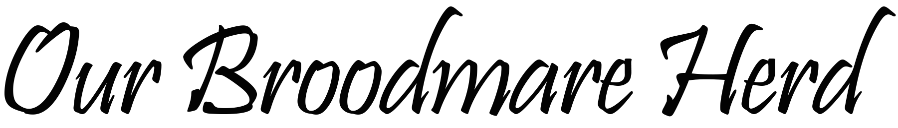 BM png.png
