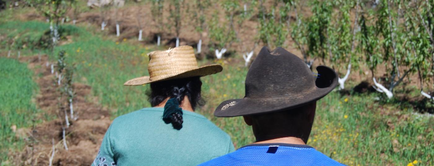 PFM Banner Hats.jpg