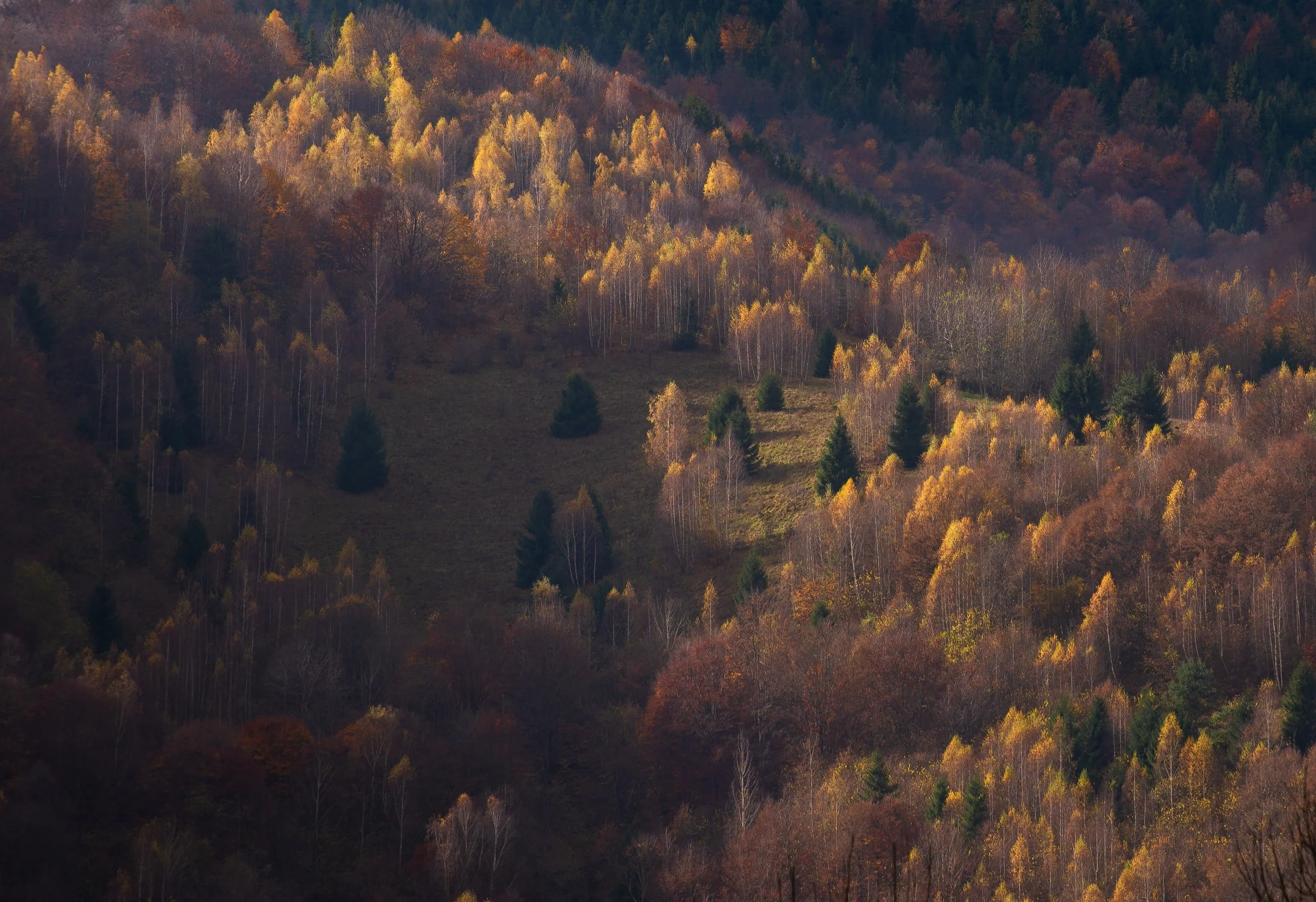 Lagoon Valley Park in Vacaville, California — Fentons Creamery