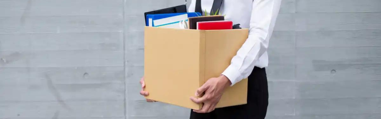MSPB Rules Employee Charged With Falsification In The Hiring Process 