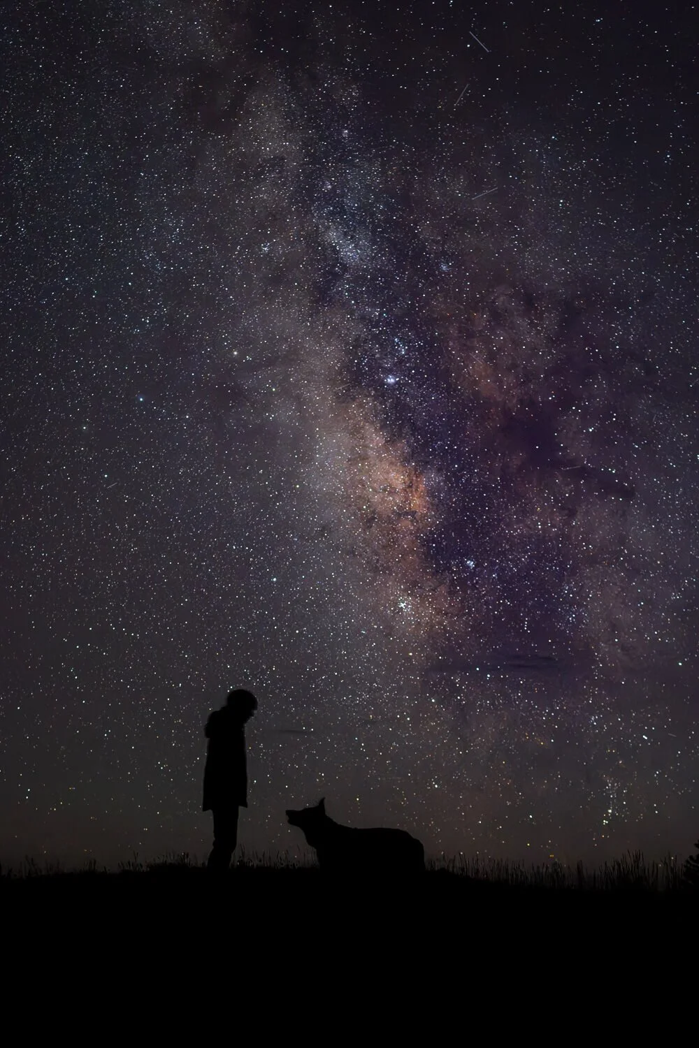Silhouette of a person standing next to their dog on a grassy ridge beneath the bright Milky Way galaxy core in a clear night sky.