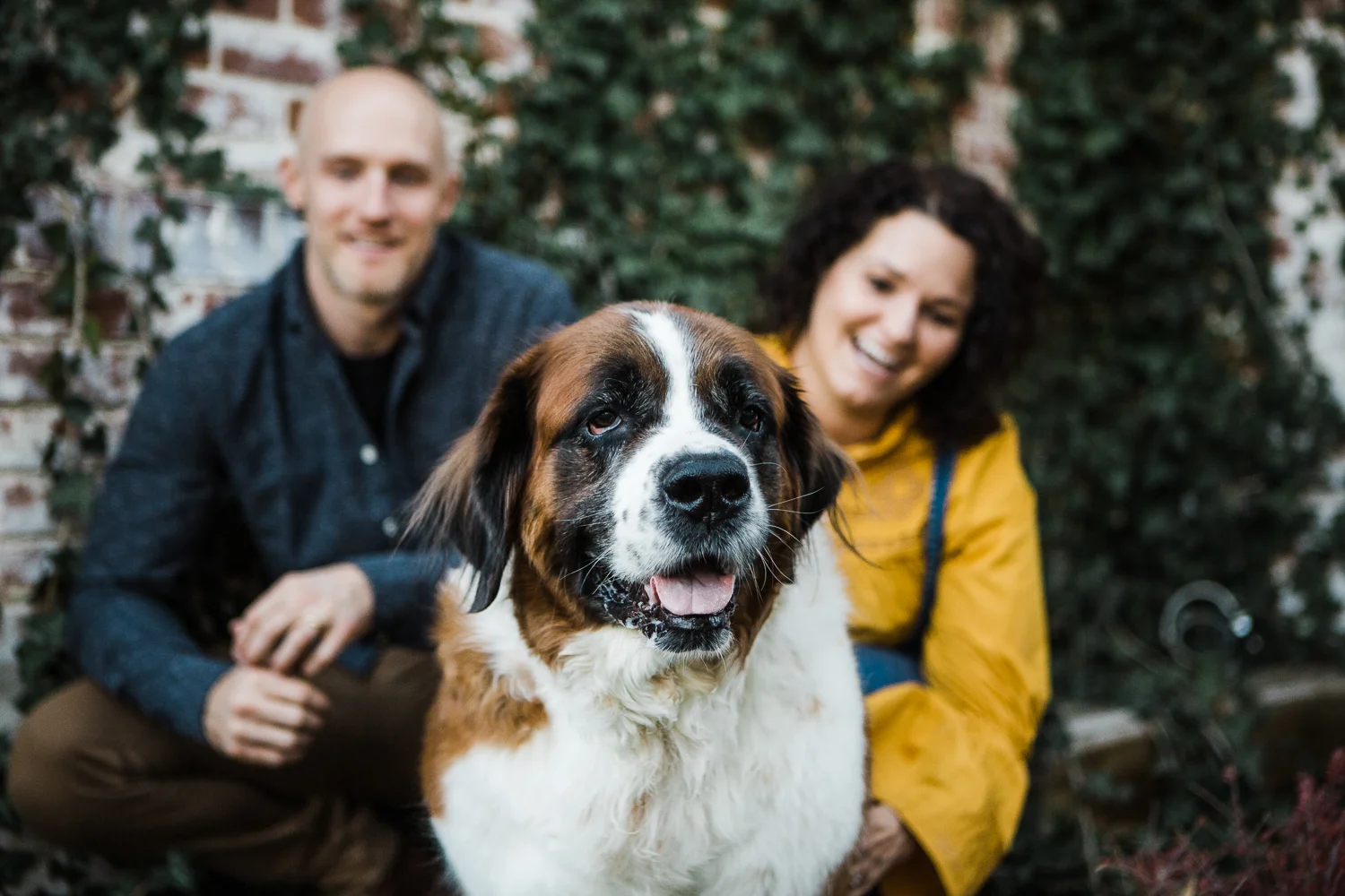 In Home Denver Pet Photography Session_025.jpg