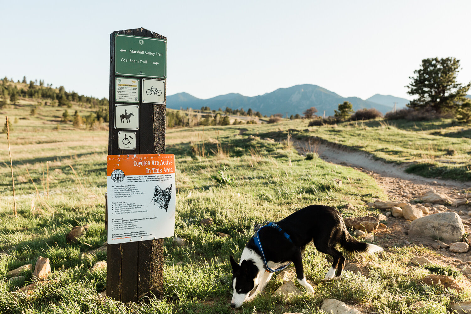 dog friendly boulder hike_001.jpg