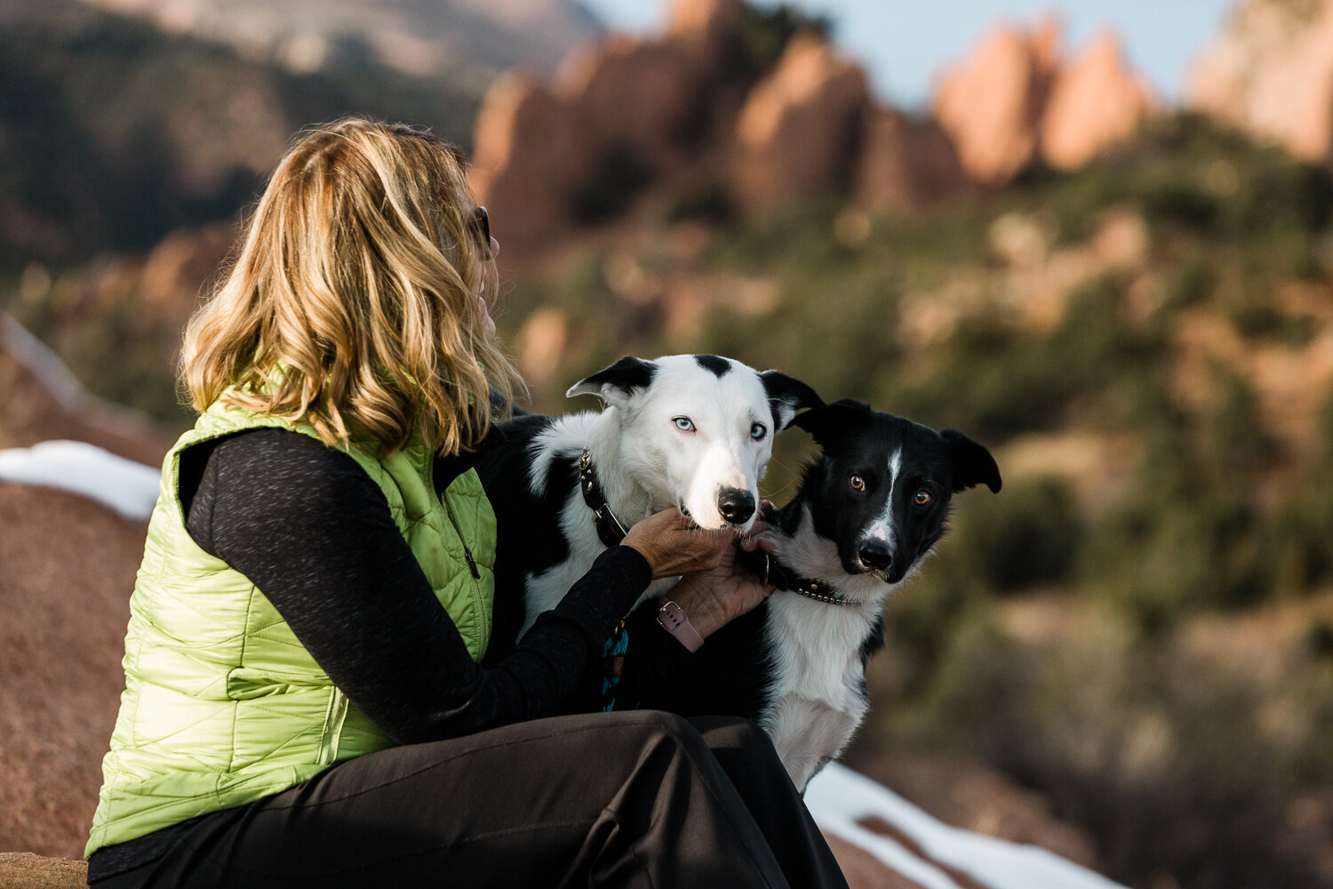 colorado_springs_dog_photographer_019.jpg