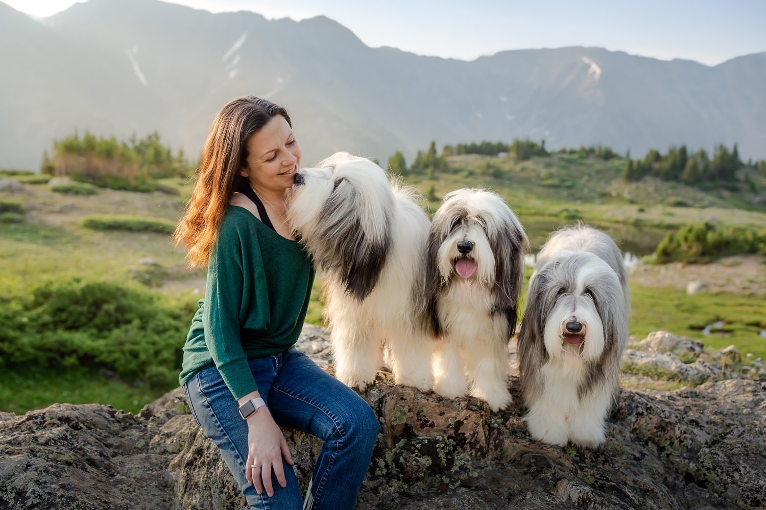 bearded_collies_hiking_007.jpg