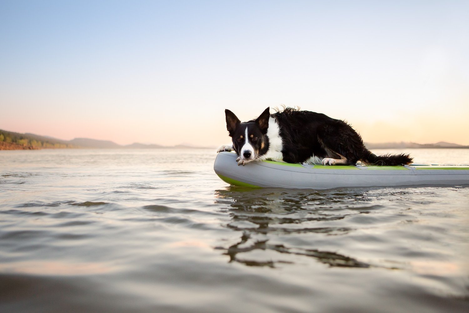 stand_up_paddle_board_with_dog_colorado_001.jpg