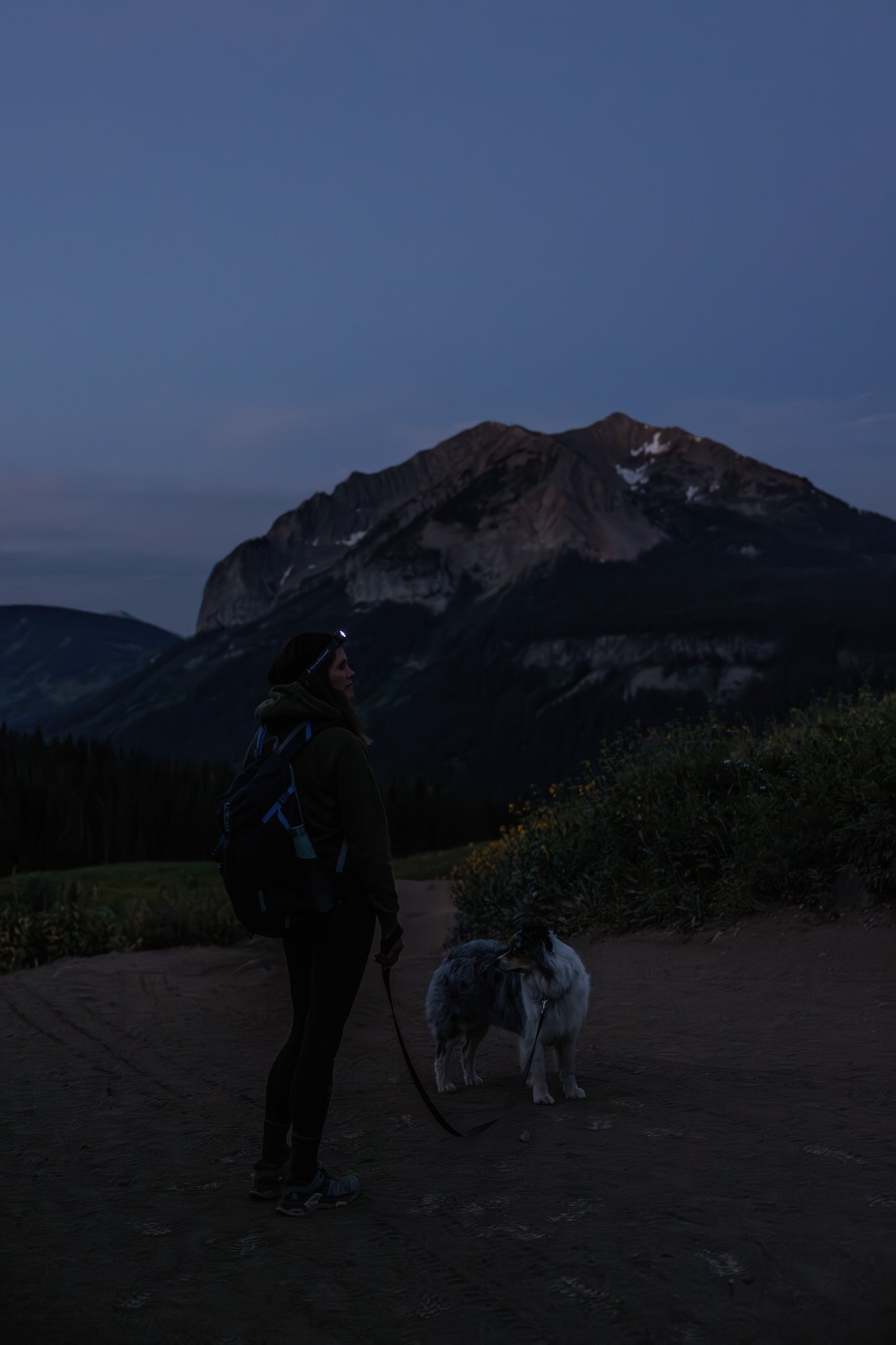 Hiking_with_dogs_Crested_Butte_wildflowers_001.jpg