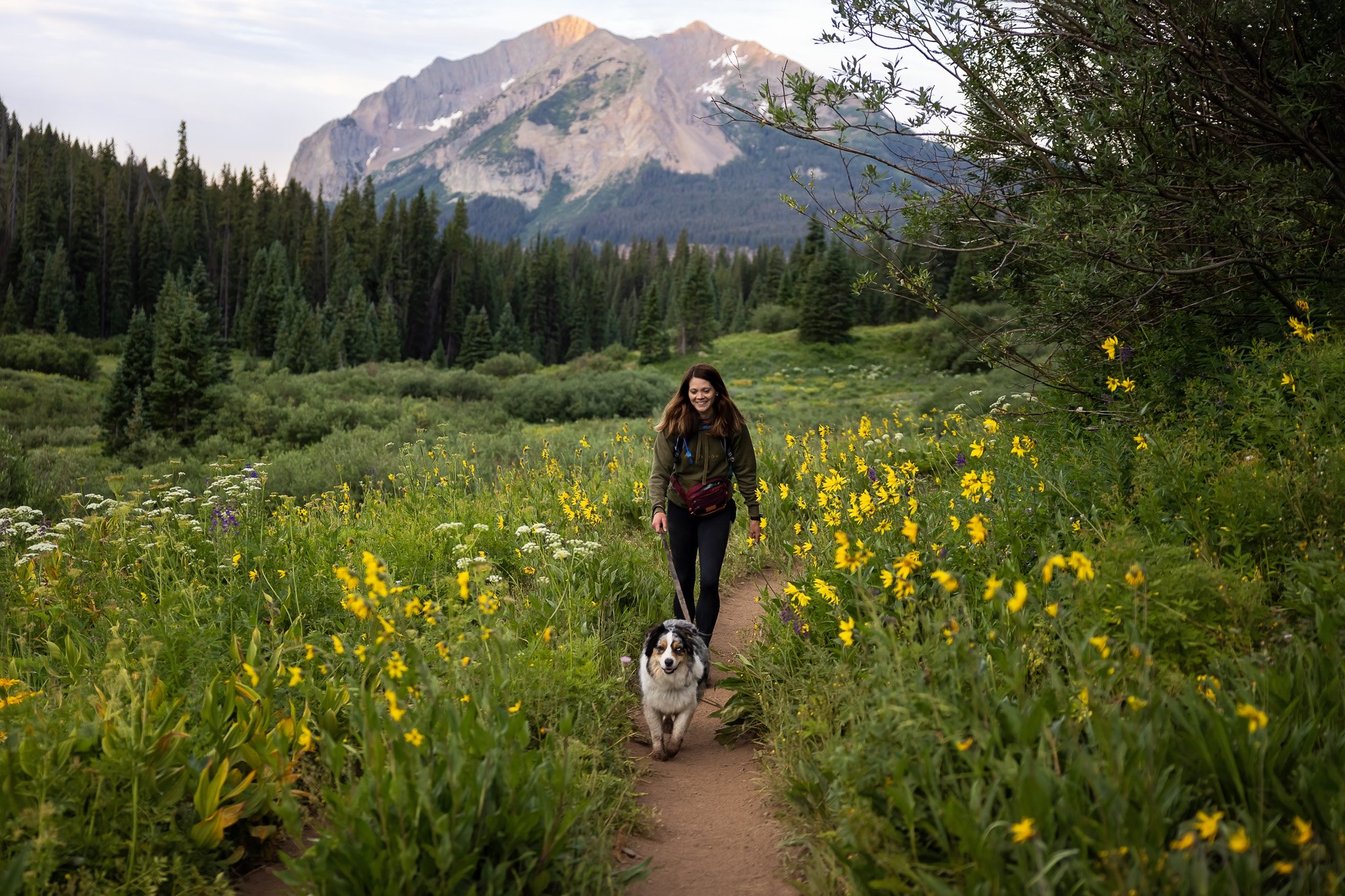 Hiking_with_dogs_Crested_Butte_wildflowers_015.jpg