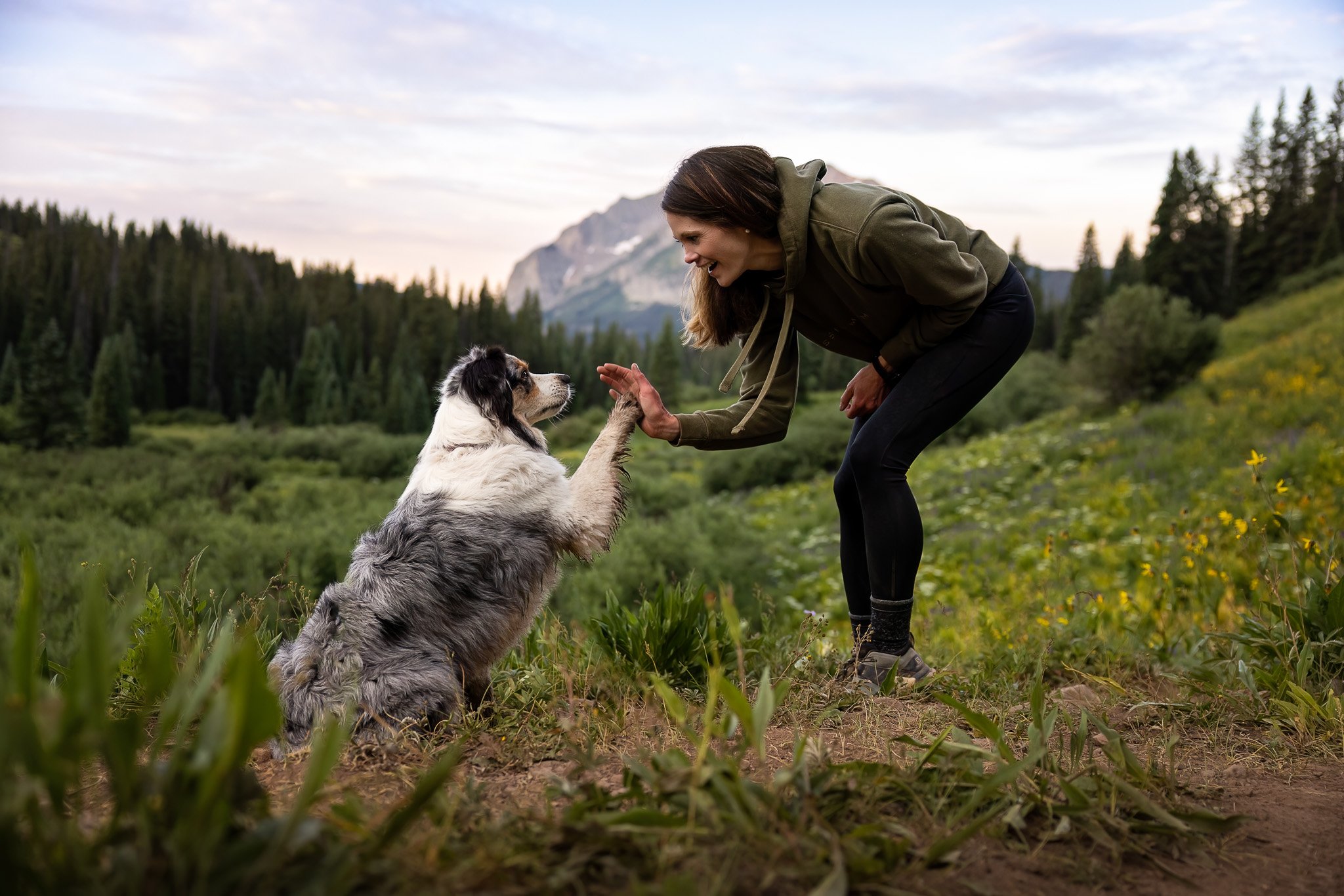 Hiking_with_dogs_Crested_Butte_wildflowers_013.jpg